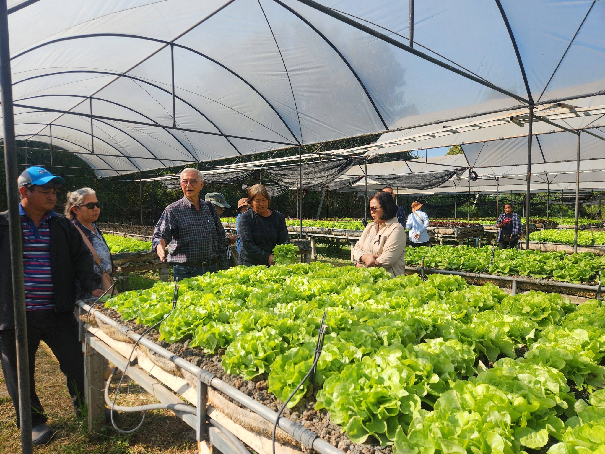 title - จัดฝึกอบรมโครงการที่ดินพระราชทานในเขตปฏิรูปที่ดินจังหวัดปทุมธานี ประจำปีงบประมาณ พ.ศ 2569 